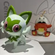 ひいちゃんの画像