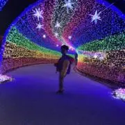 RKR_ma2