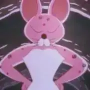 ぽむの画像