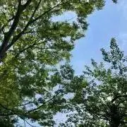 A_aaaoioの画像