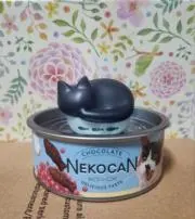 コハチャ♡(ФωФ)