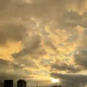 チタタプの画像