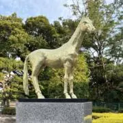 ななみの画像