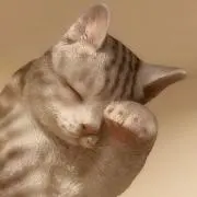 モカの画像