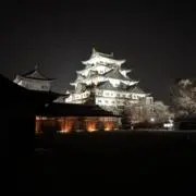 ローサの画像