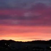さくの画像