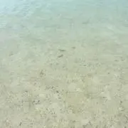mm@m