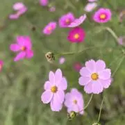 moka7527★プロフ必読の画像