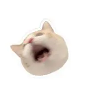 りーち