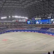 かつおの画像