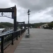 Ayoの画像
