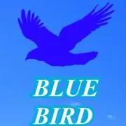 BLUE BIRD BOY