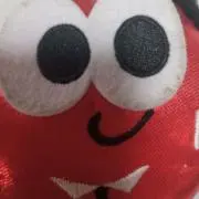 たまちゃんの画像