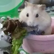 ☆マロン☆