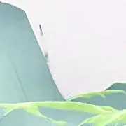 てんぷらの画像