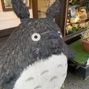 ぬん＊プロフ確認＊の画像