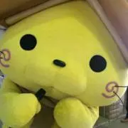 ごんごんの画像