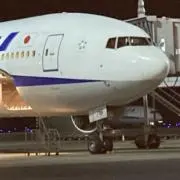 ハッピーフライトの画像