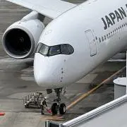 ハリネズミの画像