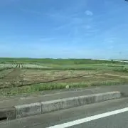 soraの画像