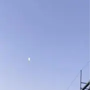 Moffatの画像