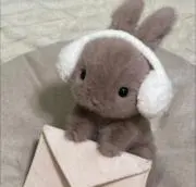 ディシーの画像