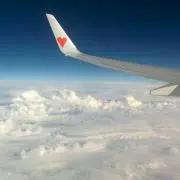 Gogo4429の画像