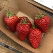 ⭐️いちご⭐️即購入⭕️の画像