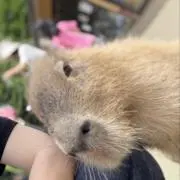 FUMIHIKOの画像