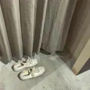 sakanaの画像