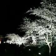 らいぽよ