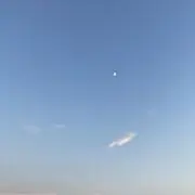 かえるの画像