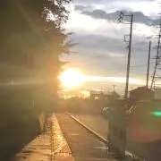 あんぱんにゃん