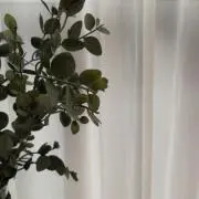 購入プロフ必読の画像