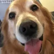 りっちゃん