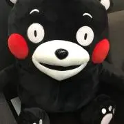 CKBの画像