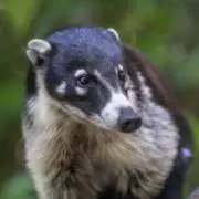 おとの画像