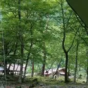 ゆきのはなこ