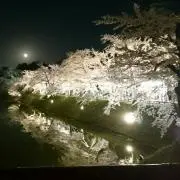 ▽