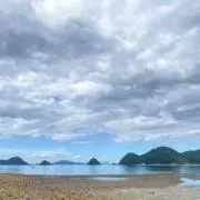 yuの画像