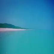 リエカネ