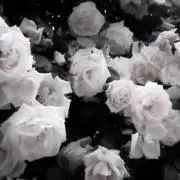 Lの画像