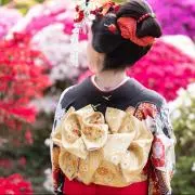 ダチ【セール中】の画像