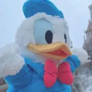 Sの画像