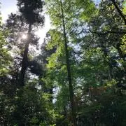 wqの画像