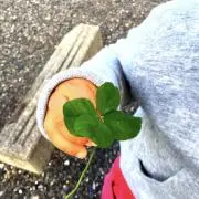 断⭐︎捨離の画像