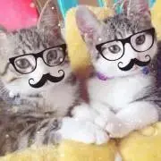 ☆Yacco☆の画像
