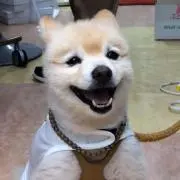Lucky