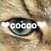cocco❤︎植物以外は即発送いたします