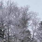 雪げしきの画像